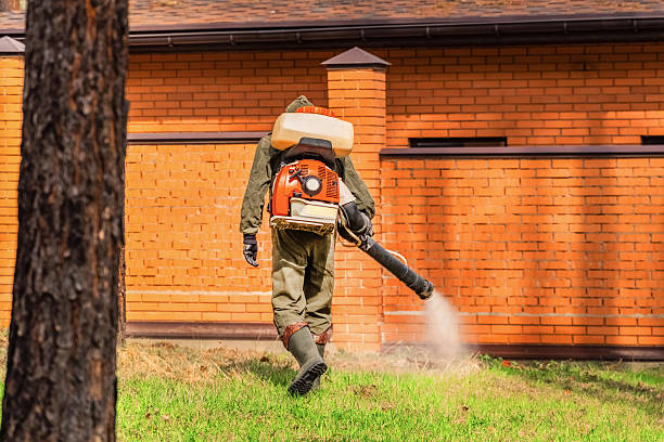Trusted Ant Control service in Unionville, GA - Nex Pest Control